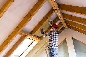 Best Weatherproofing Services  in Double Oak, TX