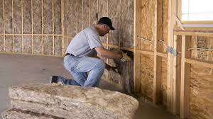 Best Basement Insulation  in Double Oak, TX